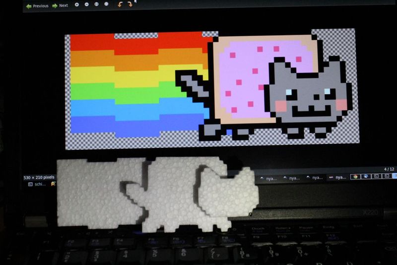 Datei:NyanCat styroplo.jpg