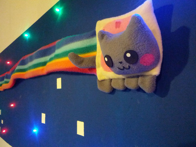 Datei:Nyancat closeup.jpg