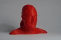 3D gescannter Kopf